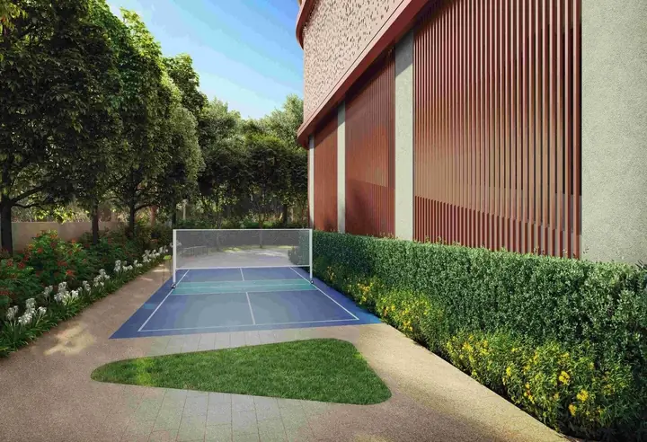 Pickleball Court